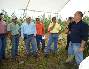 Presentacion_en_Parcela_Demostrativa_honduras_1.JPG