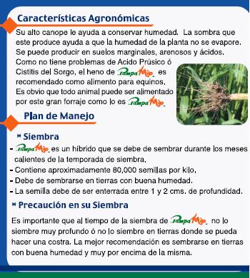 CARACTERISITCASAGRONOMICAS.JPG